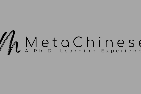 MetaChinese Education